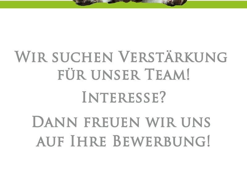 Wir suchen euch!
