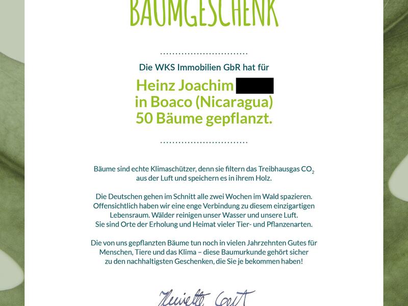 100 Bäume