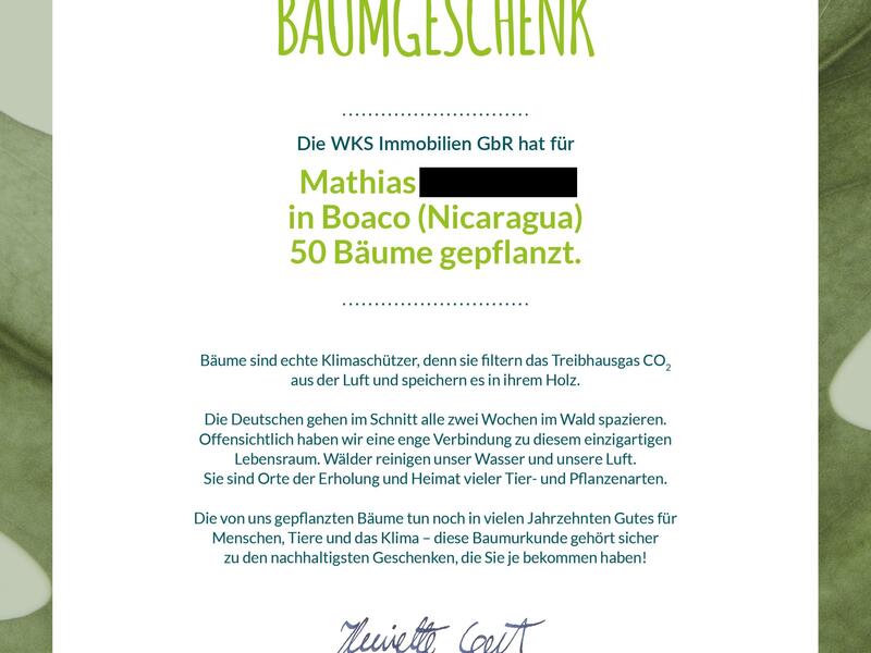 100 Bäume